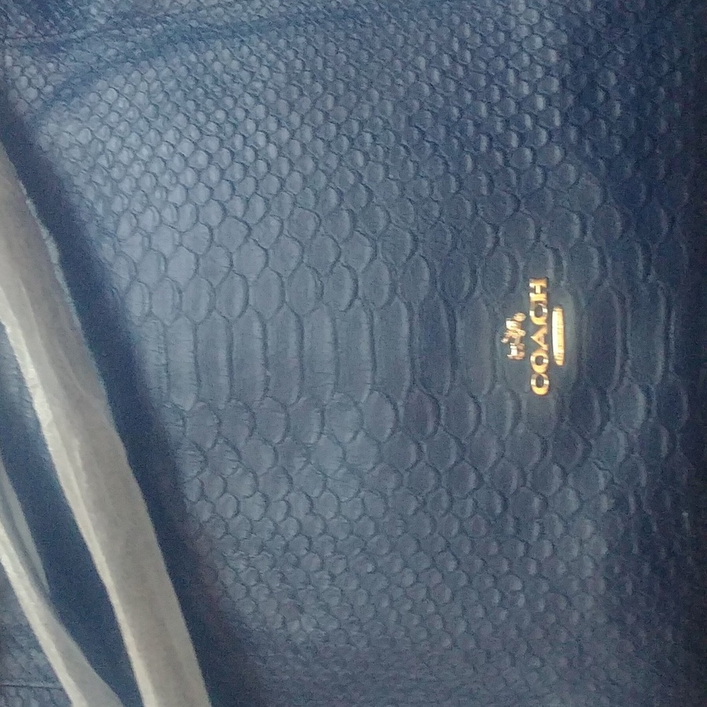 Coach bag! Brand new w tags